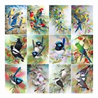 AMY-алмазная живопись Птица полная дрель квадратная фотокартина Стразы животных рукоделие подарок ручной работы