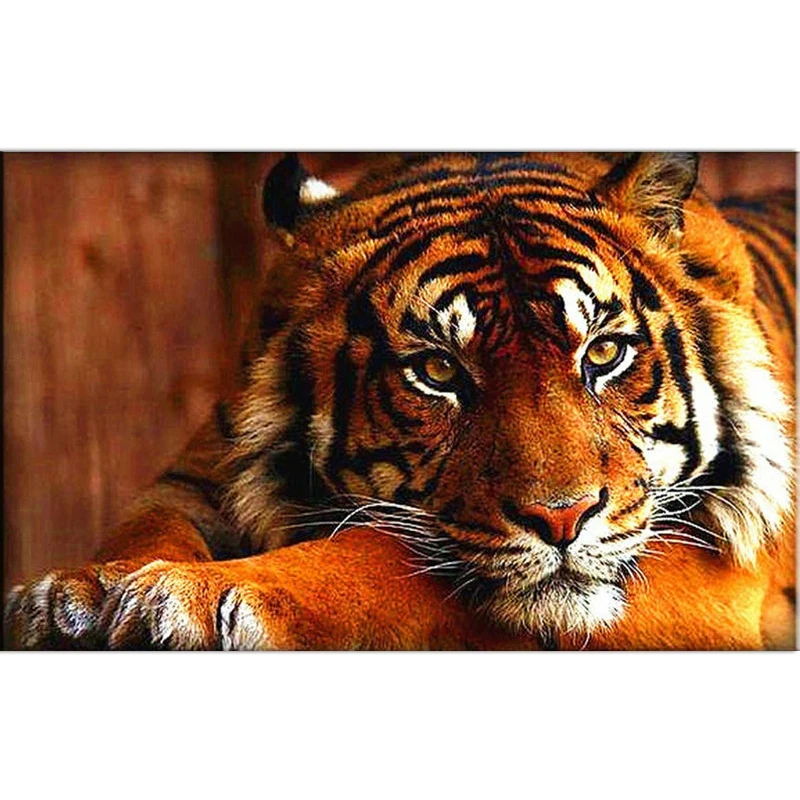Алмазная 5d картина сделай сам с животными тигром круглой формы 100%|Алмазная