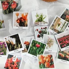 Коллекция времени 40 шт., самоклеящиеся цветные точки, цветы, Ежедневная жизнь, наклейки для творчества, поздравительная открытка, альбом для скрапбукинга