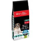 Pro Plan сухая еда для взрослых собак, крупных пород, мощное телосложение, чувствительное пищеварение, OPTIDIGEST, ягненок и рис, 12 + 2 кг