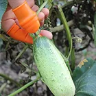 Силиконовый нож для большого пальца протектор для пальцев нож для урожая овощей лезвие для растений ножницы Режущие кольца садовые перчатки 2021