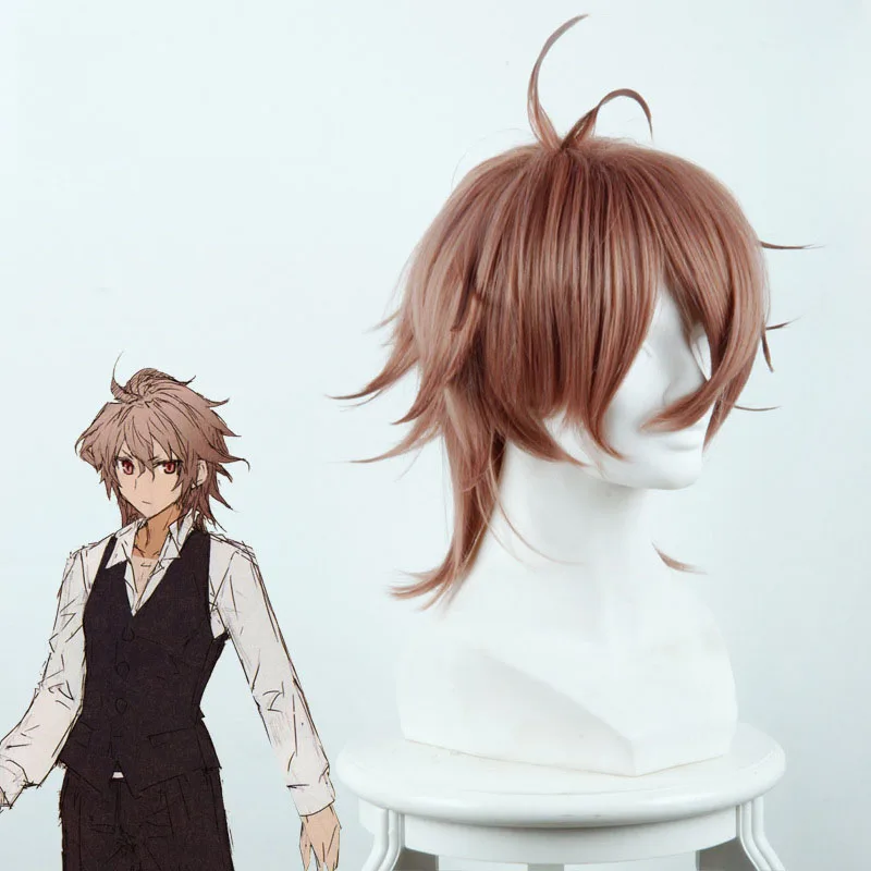 Fate/Apocrypha Hero Chigurh смешанный дымчатый коричневый парик для косплея аниме |