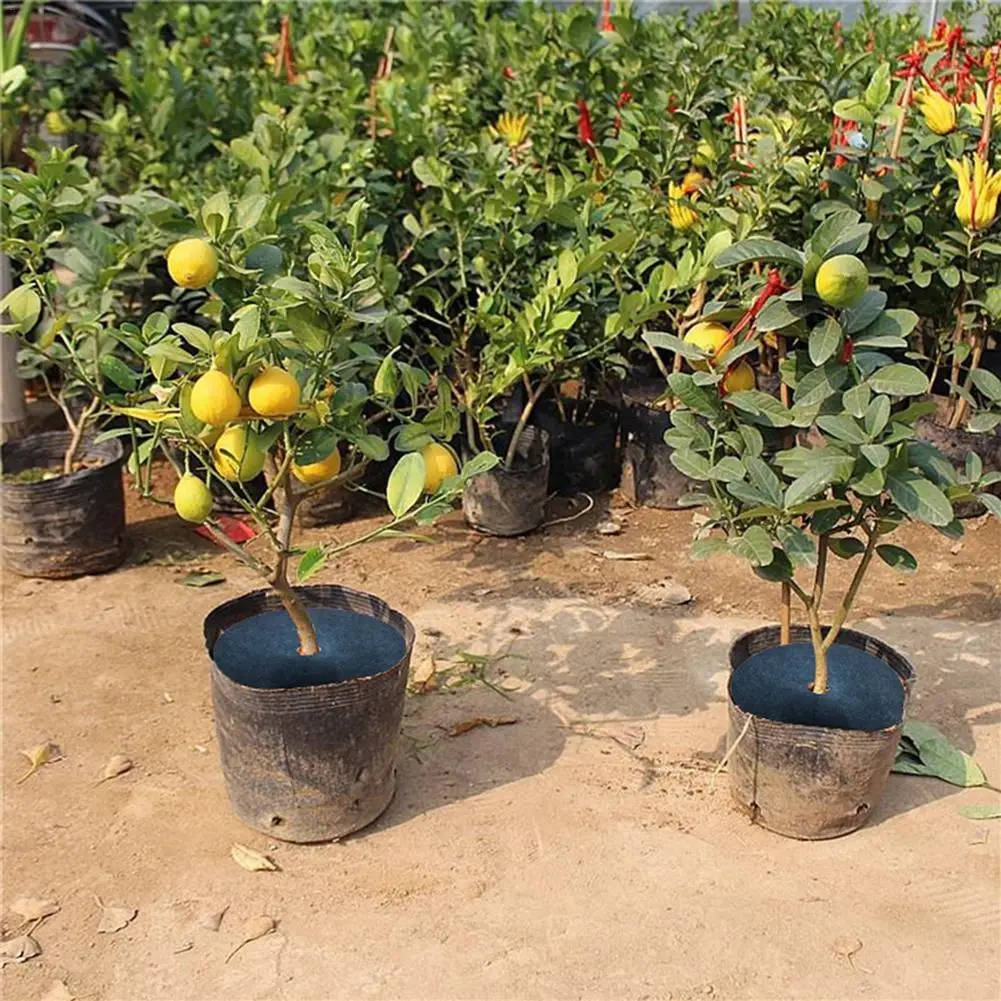 Войлочная ткань защитное стекло Нетканая гербицид дышащая увлажняющая