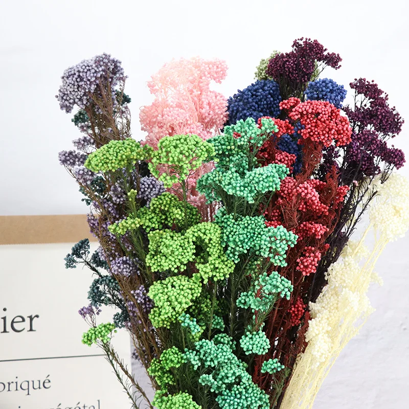 

Natural Dried Fresh Preserved Millet Flower Eternal Dry Flower Ramillete DIY Material Wedding Decor Dekoration Fleurs Sechees