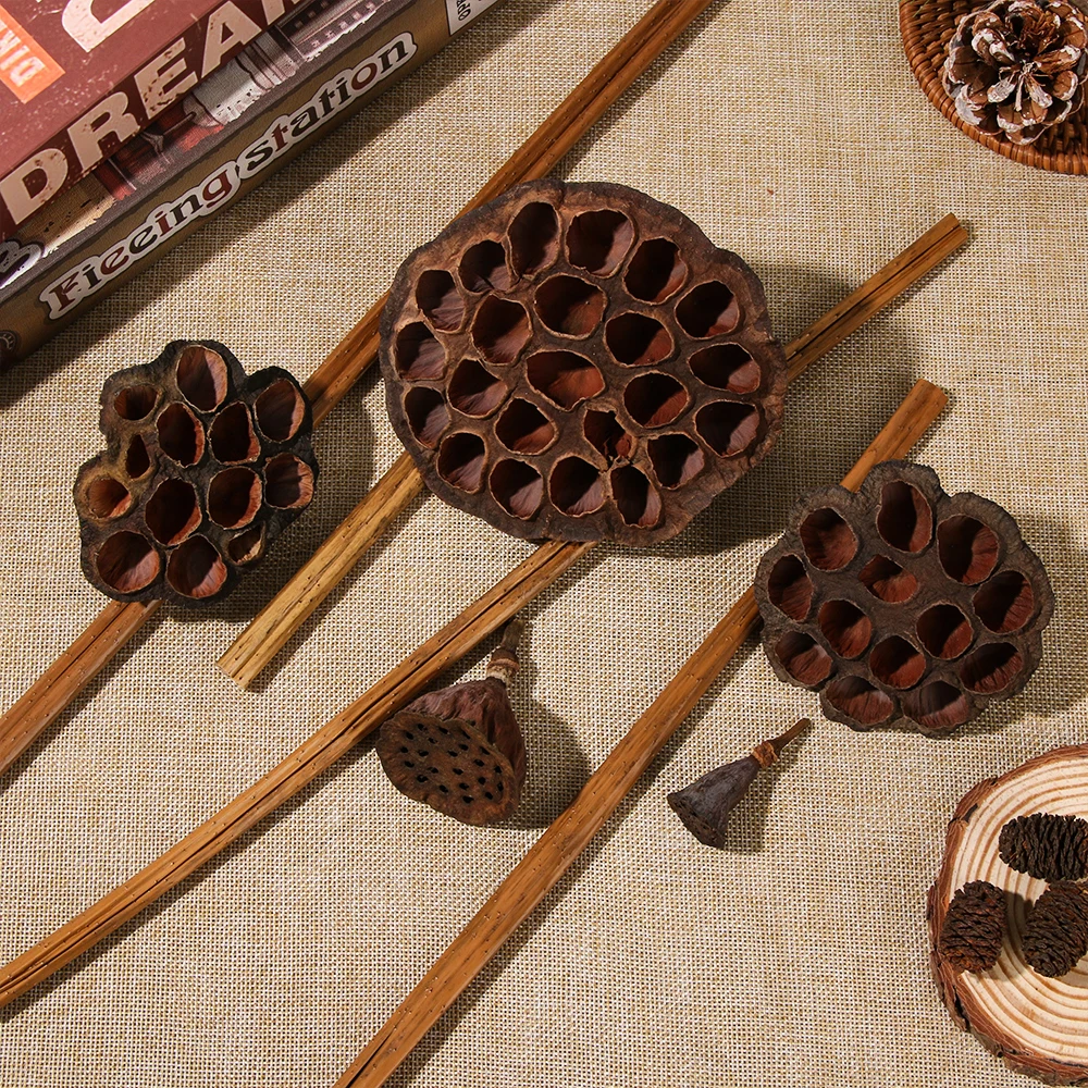 1 шт. натуральный искусственный сушеный Лотос эмуляция прессованные цветы