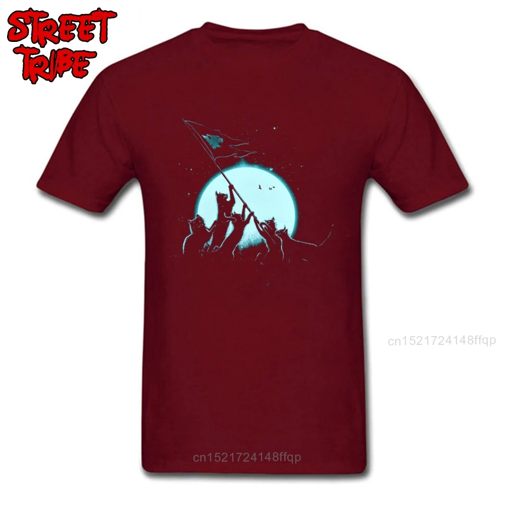 Футболка мужская с принтом ночной Луны и котов|Мужские футболки| |