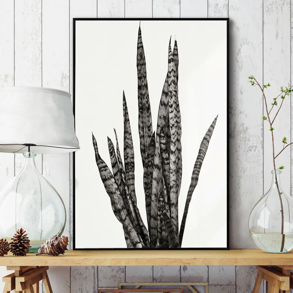 Плакат Sansevieria Trifasciat Картина на холсте с растениями скандинавские настенные