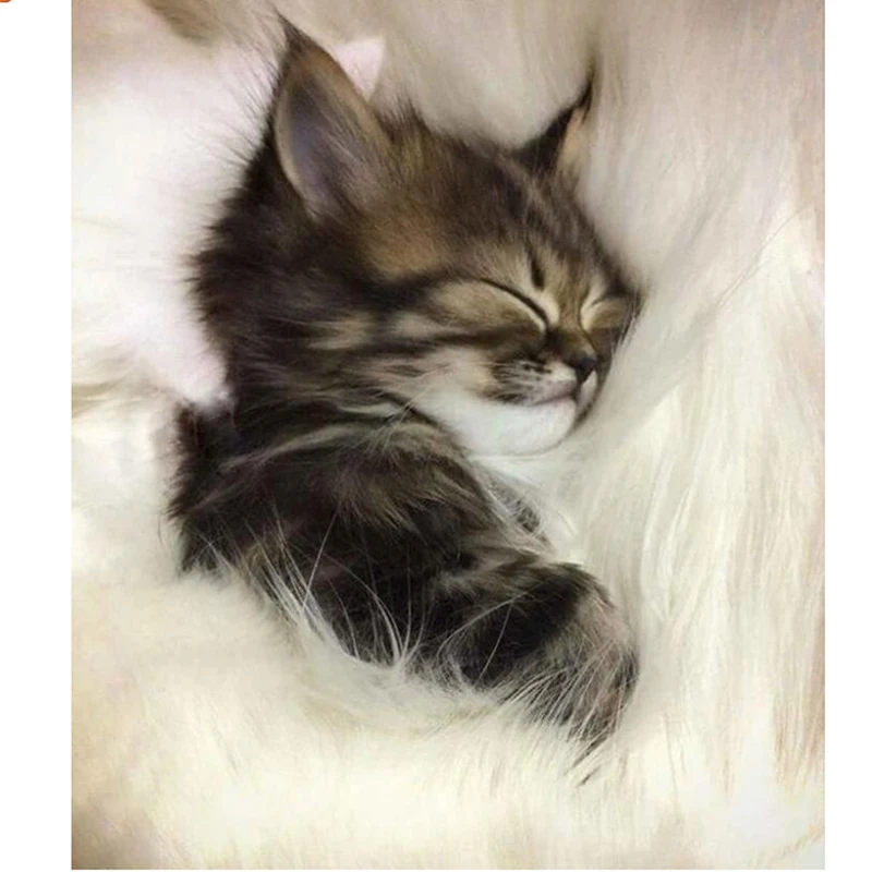 Полностью сверлильный квадратный алмаз 5d Сделай Сам Алмазная картина Ночная