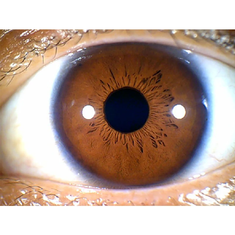 Измеритель игла с автофокусом DM9822U детектор диафрагмы HD-лупа USB-измеритель