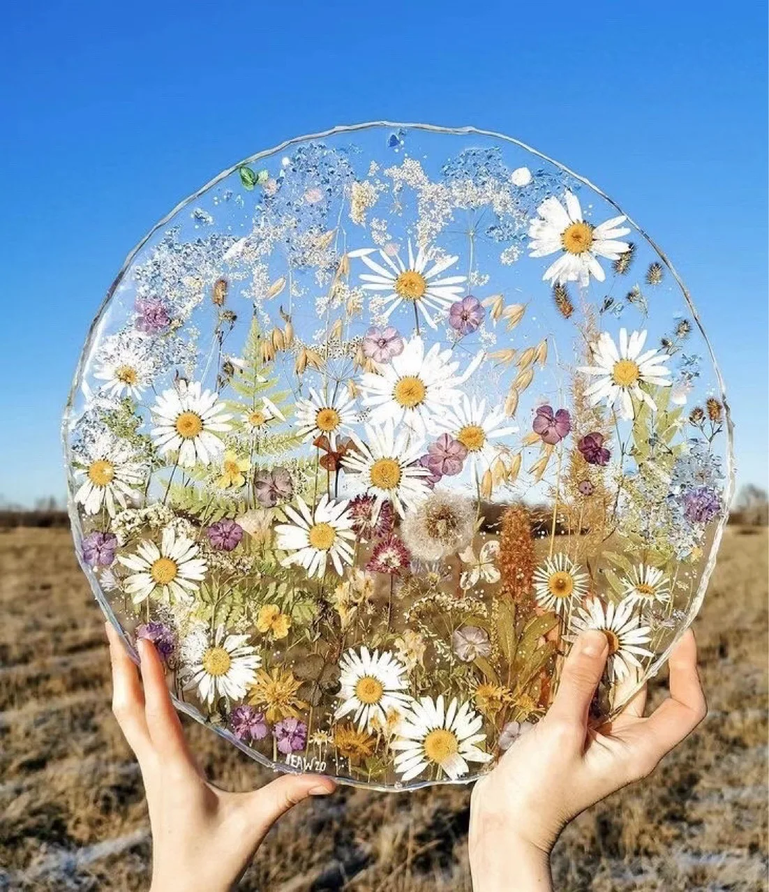 

Stunt Dried Flower Specimen Handicraft Decoration Photo Frame Bookmark DIY Embossing Flores Artificiales Para Decoracion Fiesta