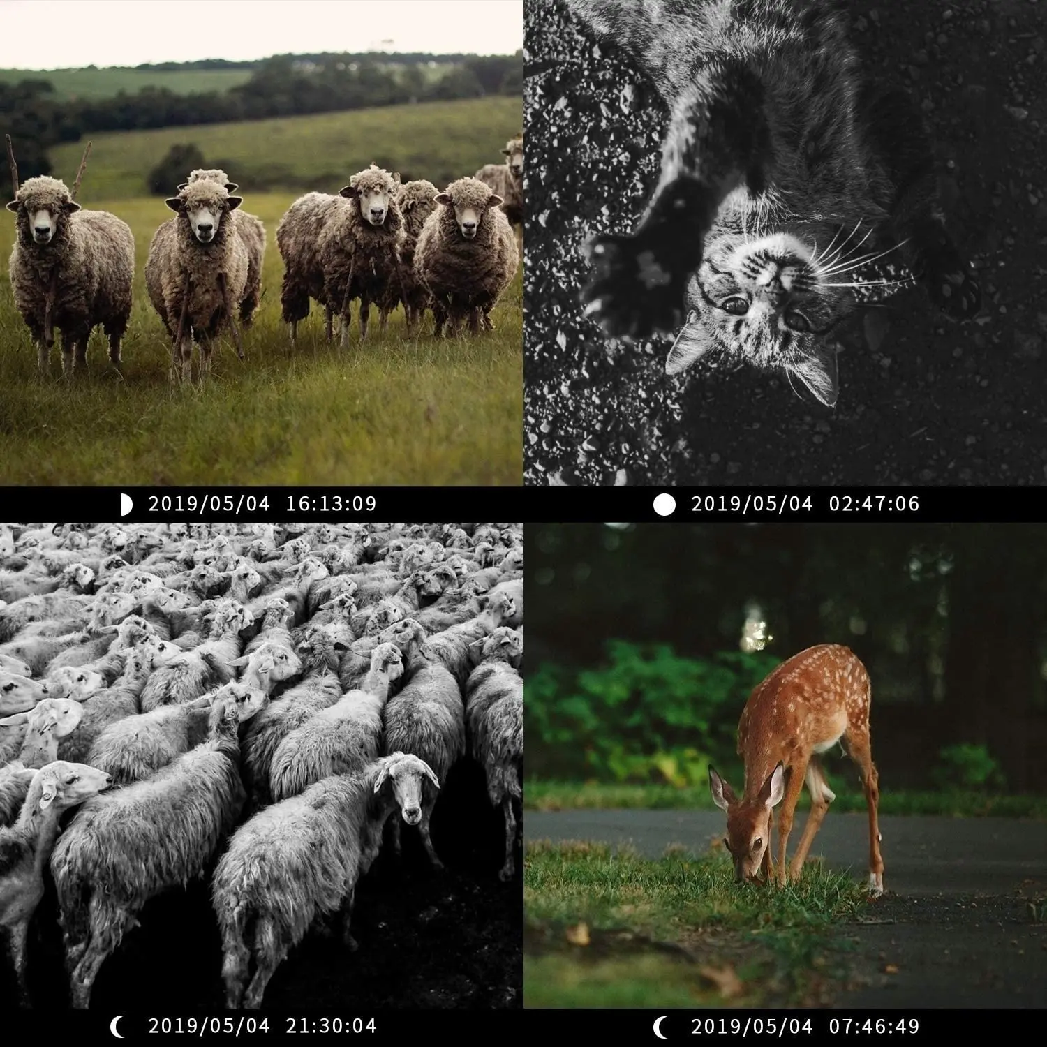 2 шт./1 лот тропа охотничья Камера S400 20MP инфракрасный дикой природы