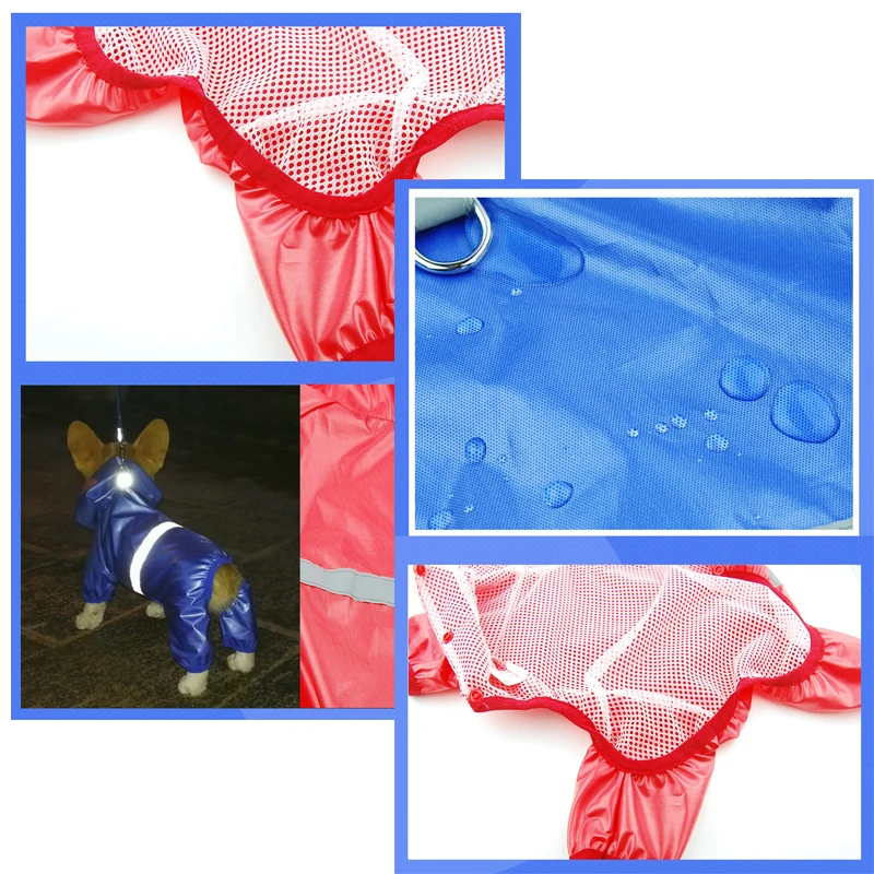 

Pet Products