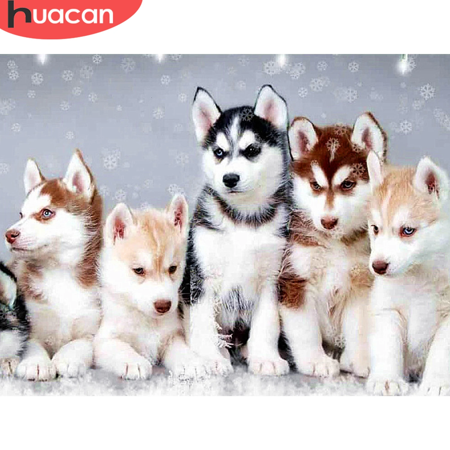 HUACAN DIY Алмазная мозаика животные собаки декор для дома картины стразами полная выкладка подарок ручной работы набор для творчества