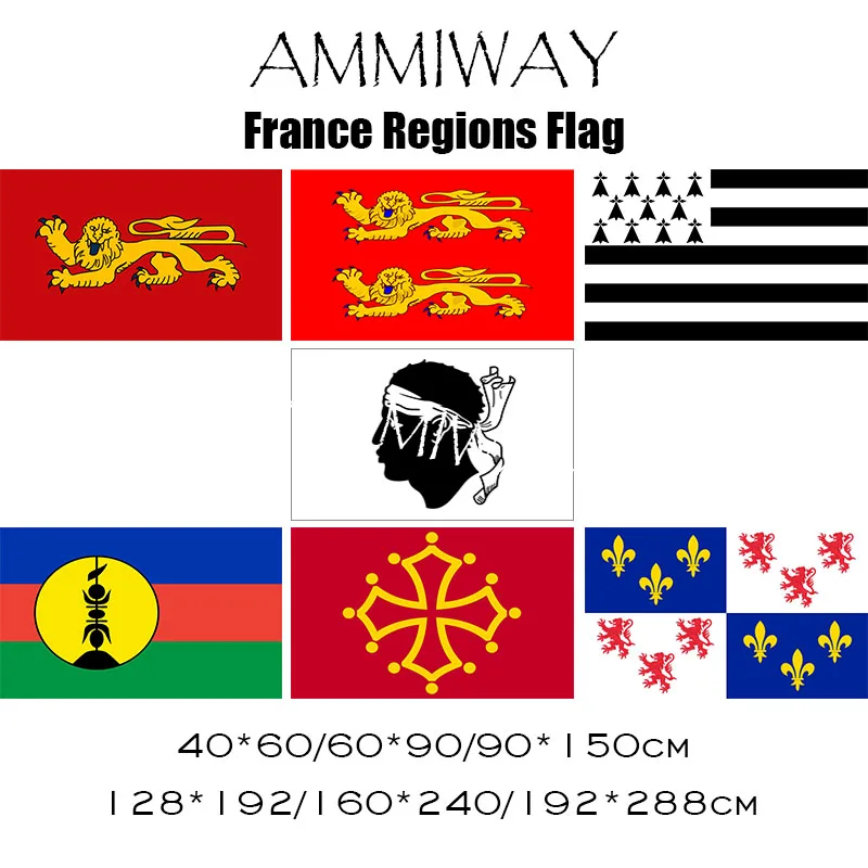 Флаг французской Гвианы AMMIWAY Национальный полиэстер висящий флаг французский