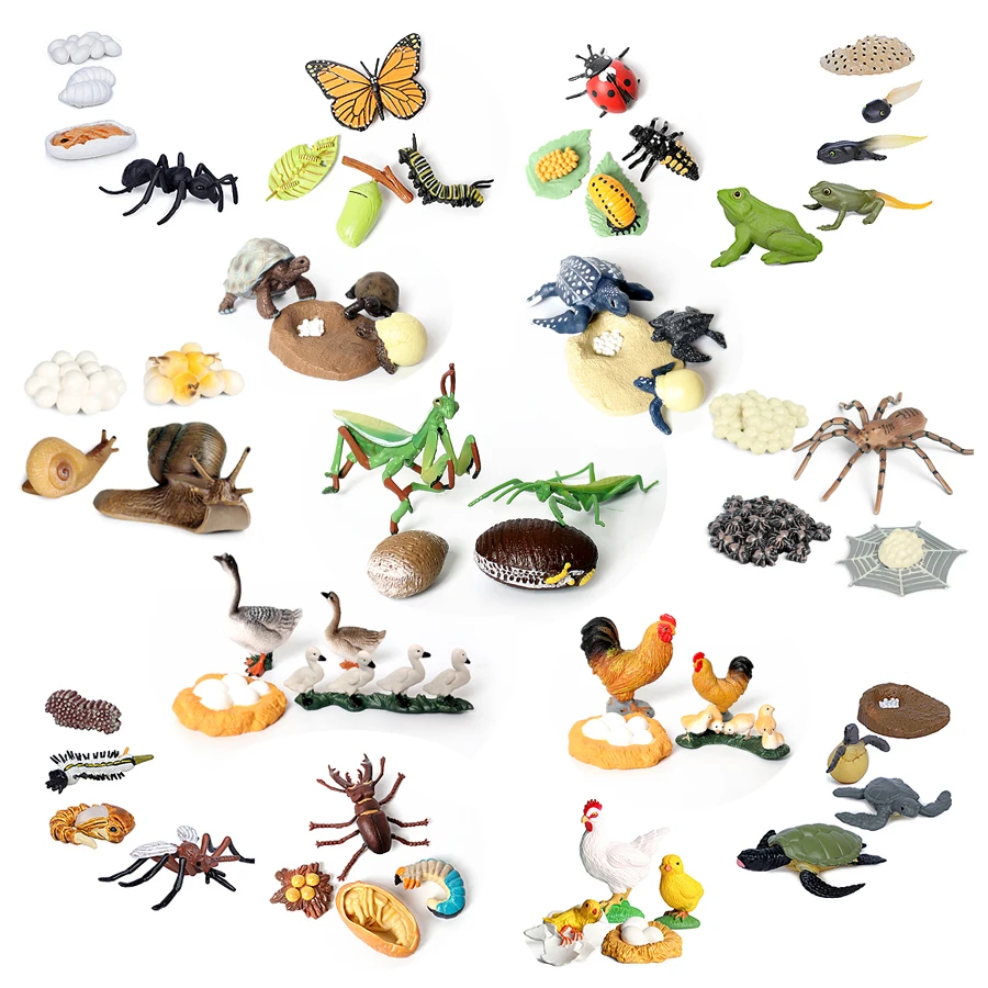 

Simulation Butterfly Mantis Bee Frog Growth Cycle Life Cycle Animals Model Action Figures set Teaching Educational toys For Kids