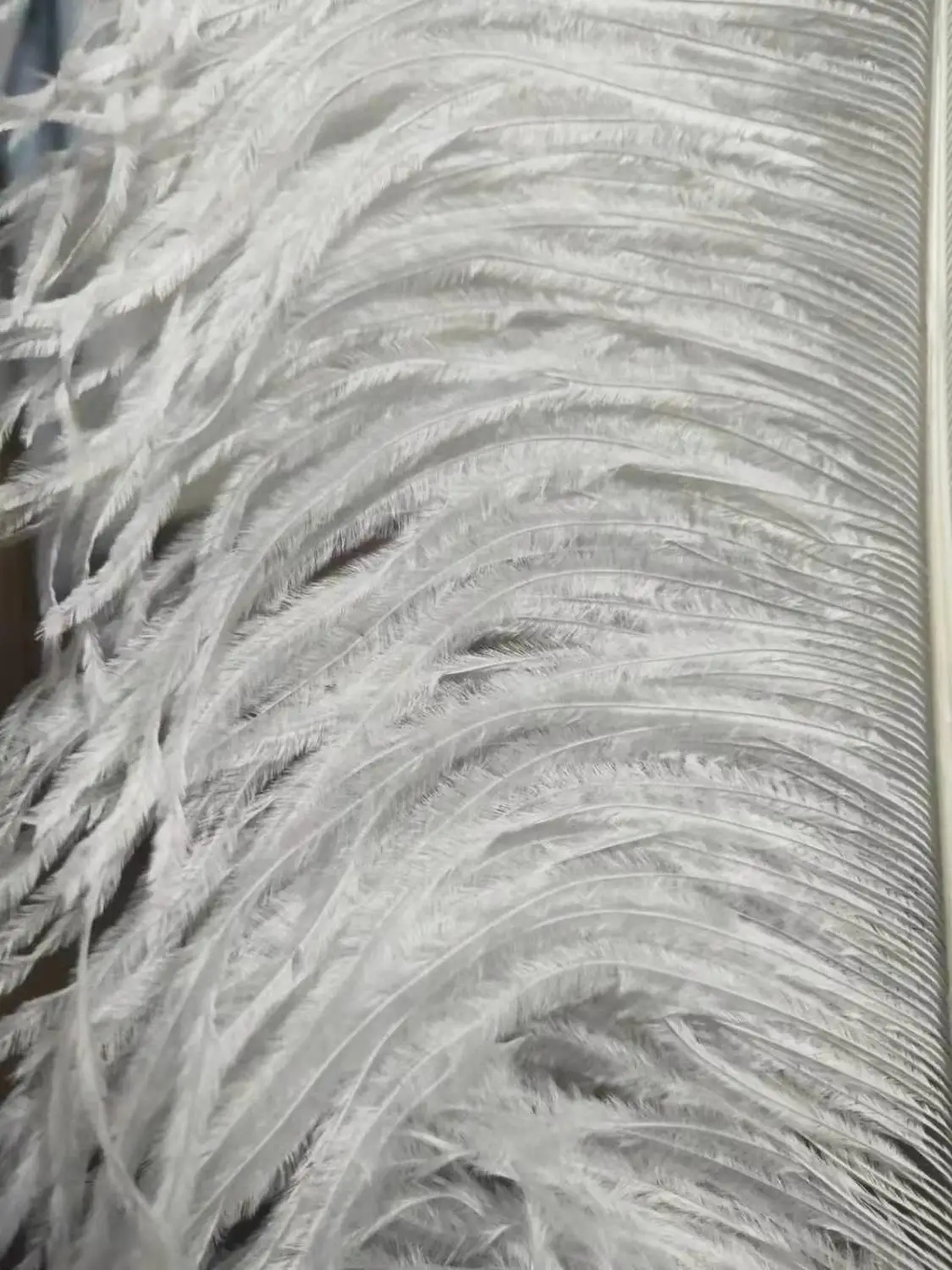 10 шт. высококачественные молочные и белые Страусиные перышки 75 см украшения на