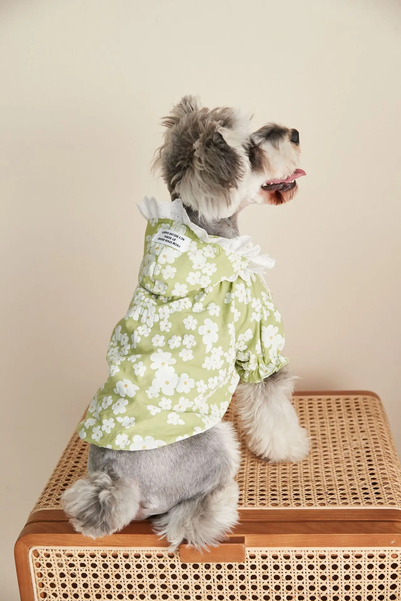 2021 новая модная одежда для собак весна-лето кружевная Цветочная рубашка шнауцер