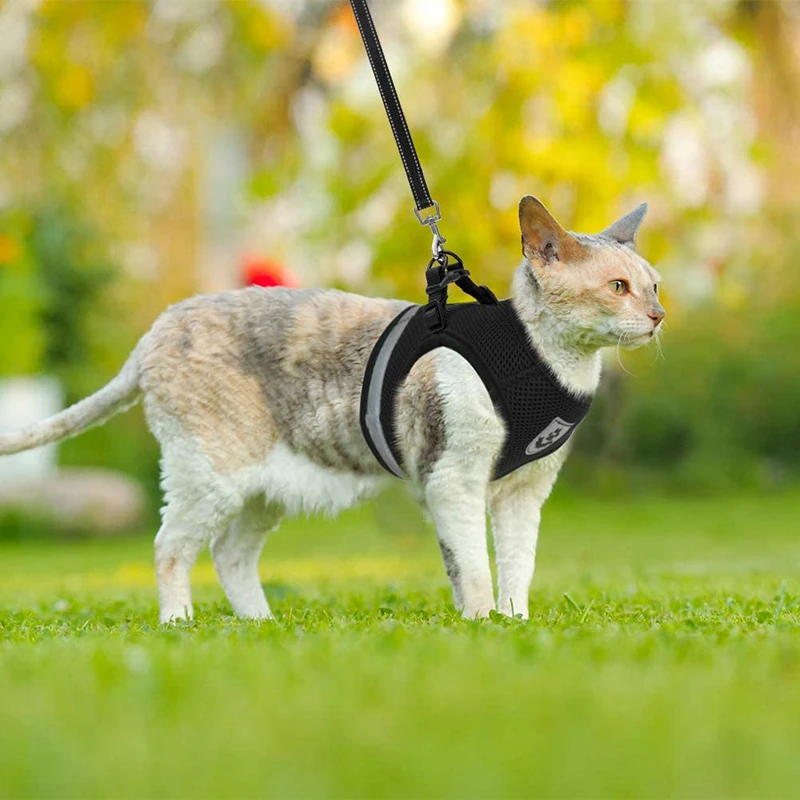 

Cat Harness Cat Vest Harness And Car Seat Belt Adapter Adjustable Reflective Soft Mesh Harness For kitty Puppy Escape Proof