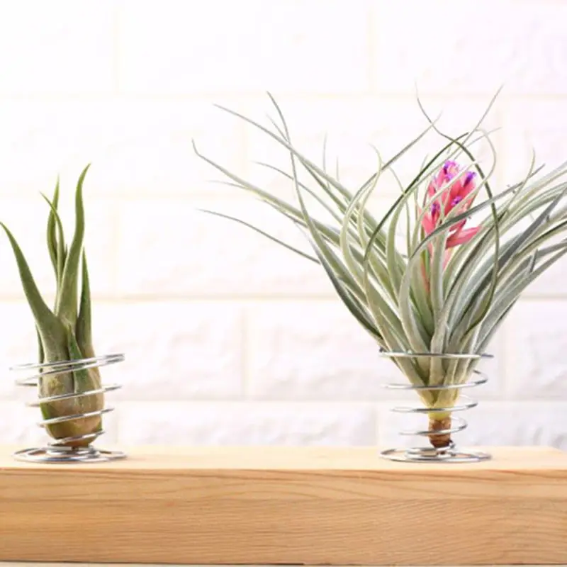 20 упаковок подставка для авиационных растений контейнер почвы проволоки из