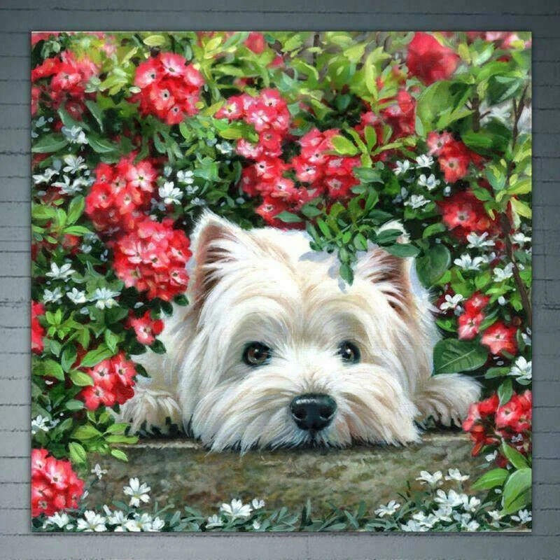 

30*30cm 5D Diamond Painting Dog Garden Animal Home Decor Diamond Art Mosaic Gift Home Deco
