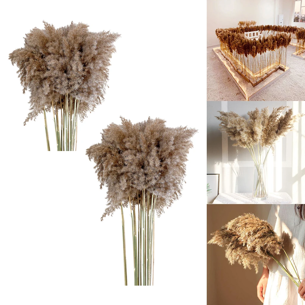 

10 PCS Farmhouse Dried Pampas Grass Flower Bunch Home Wedding Party Decor