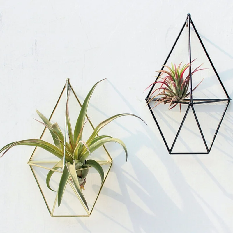 Hanging Tillandsia Air Plants Rack Metal Geometric Iron Art Rustic Flower Planter Pot Wall Decor Container Succulent Vase | Дом и сад