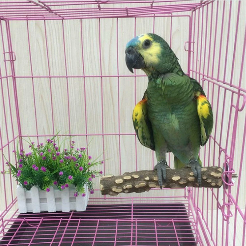 Птица Попугай окунь стенд держатель натурального дерева игрушка шлифовальная