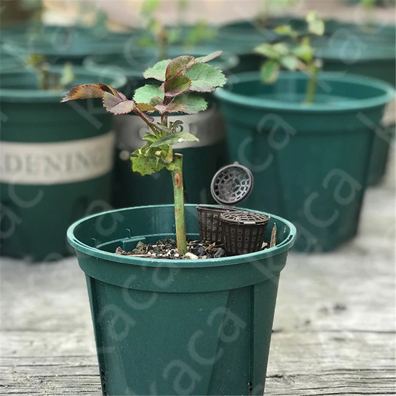 Бонсай поставка Сад посадки удобрения коробка бонсай корзина автоматический