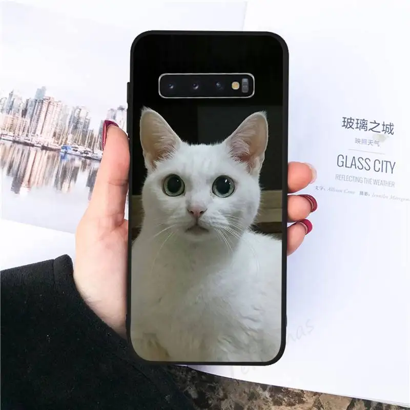 

squishy lovely cat Phone Case For Samsung galaxy S 8 9 10 20 21 30 A 30 50 51 70 note 10 plus Ultra 5g