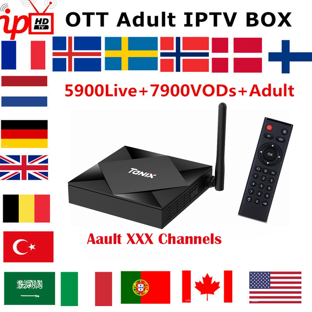 Tanix TX6S Android 10,0 tv Box Allwinner H616 4 Гб 64 ГБ 1 год Франция Португалия Бельгия Нидерланды Бельгия Италия IP tv подписка