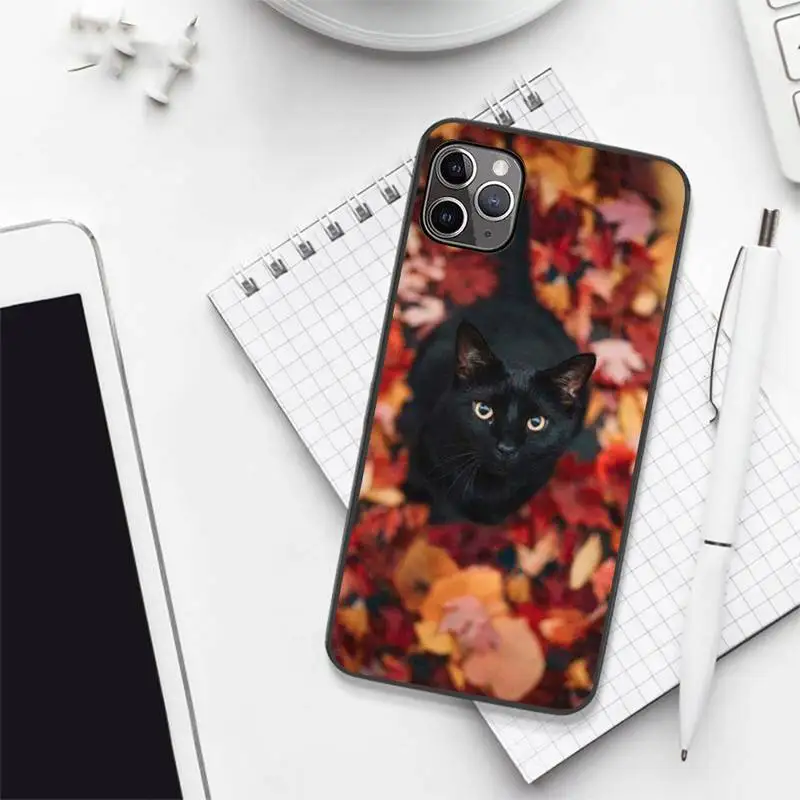 

cute pet Black Cat Staring Eye Phone Case for iPhone 7 8 11 12 Pro X XS XR Samsung A S 6 7 9plus 10plus 21s 71