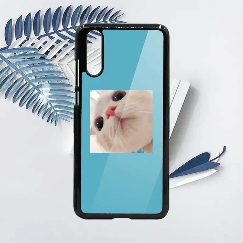 

Cat Aesthetics cute animal Phone Case PC For Samsung galaxy S note 8 9 20 10 e lite2019 plus pro ultra