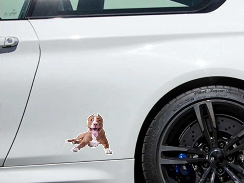 

Dogs Are Man's Most Loyal Friends. for Dog Lovers, and Of Course There Are Also Waterproof Dogs Stickers That Cover Scratches.