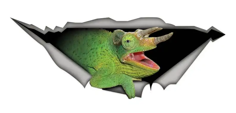 

2021 Green Chameleon car decal, reptile decal, funny chameleon sticker