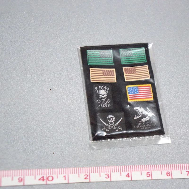 

DAMTOYS DAM 1:6 scale 78060 2018SHCC venue seal seal Model For Action Figure DIY Accessories