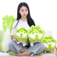 22 55cm cabbage shiba inu dog cute vegetable fairy anime plush toys fluffy stuffed upholstered doll pillow childrens toy gift