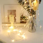 Светодиодная гирлянда из медной проволоки, 5 м, 50 светодиодов, праздничная уличная гирлянда с лампочками для рождественской елки, украшение для свадебной вечеринки # p3