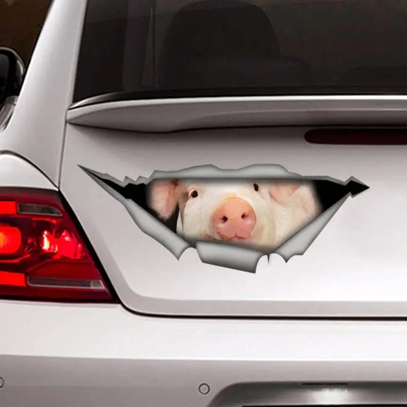 

Pig sticker, car decal, Vinyl decal, car decoration, Pig decal, animal decal