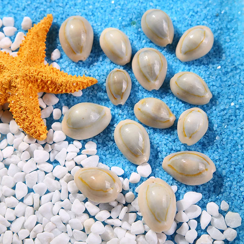 

shells ash phnom penh screw process manual materials Phnom Penh shell floor Fish tank aquarium accessories wedding decoration