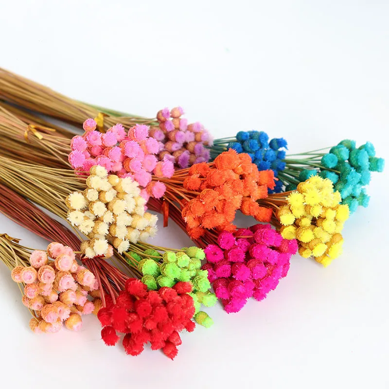 

Happy Flower Brazilian Natural Dried Flower Bouquet Home Decoration Flower Diy Flower Arrangement Eternal Flower Shooting Props