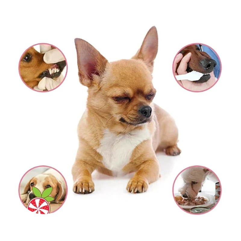 Освежитель для здоровых зубов очиститель дыхания очистка собак и щенков товары