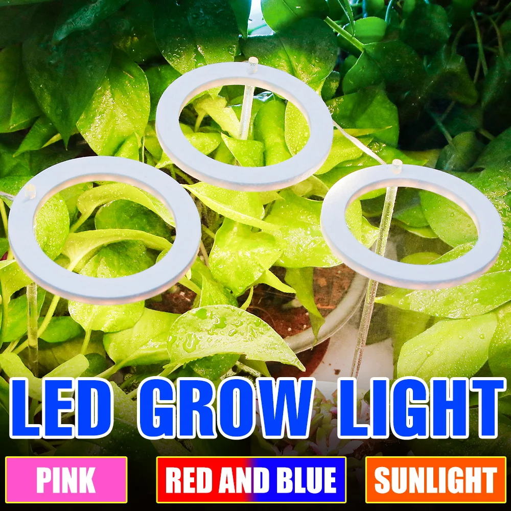 

Светодиодная кольцевая фитолампа полного спектра с ангелом, фитолампа для выращивания растений с USB, лампа для выращивания цветов в теплице...