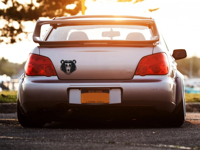 Грустно с сумасшедшим слезотонущим медведем автомобильные наклейки и