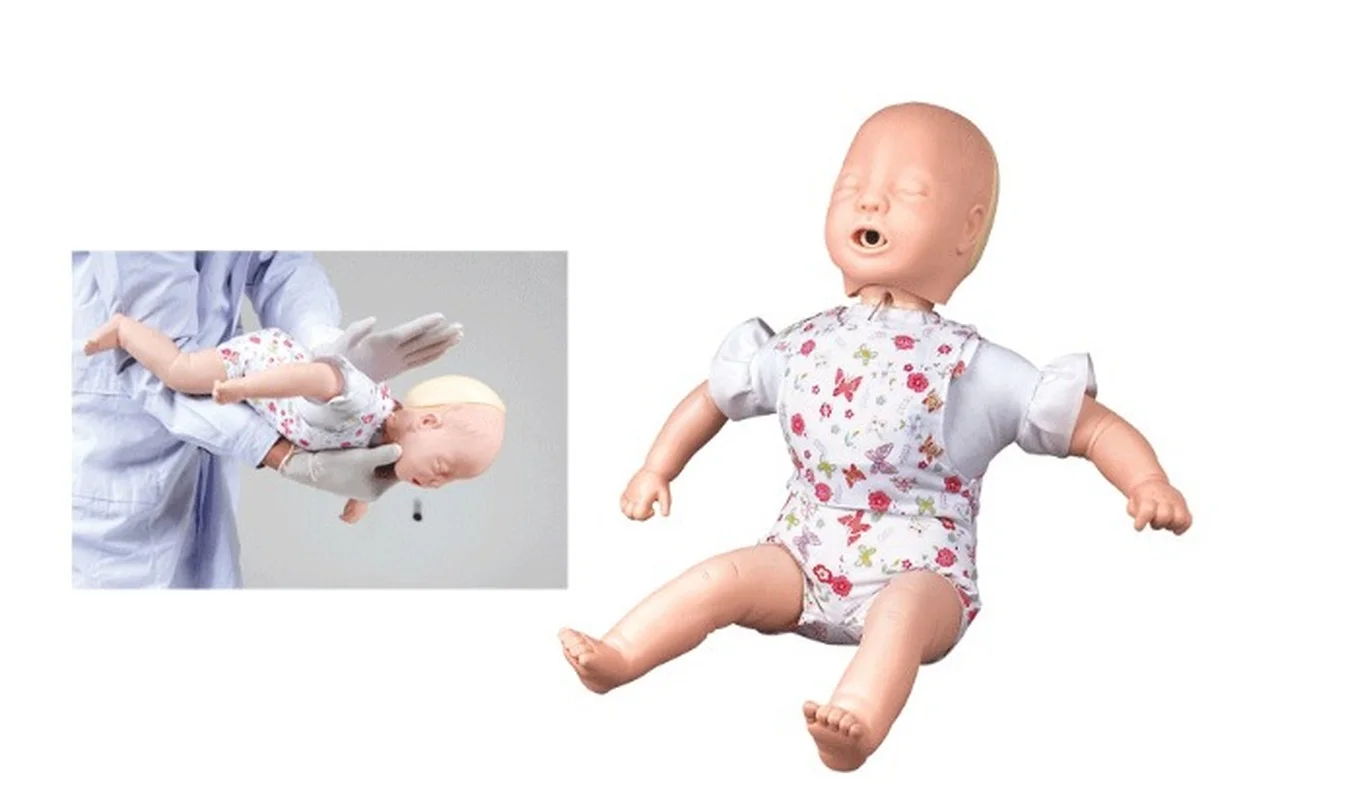 Advanced Infant Airway Infarction and CPR Model  Humanbody Model Anatomy