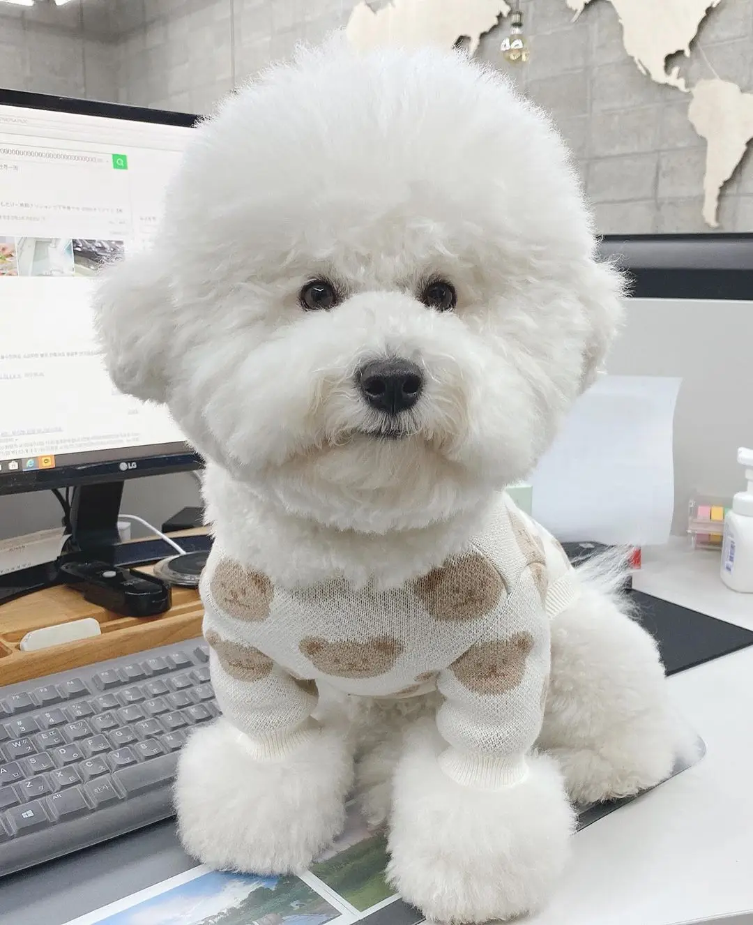 

2021 New Cubs Autumn and Winter Warm Hedging Cute Bichon Pug Pet Sweater Warm and Comfortable Fashion Trend Puppy Clothes