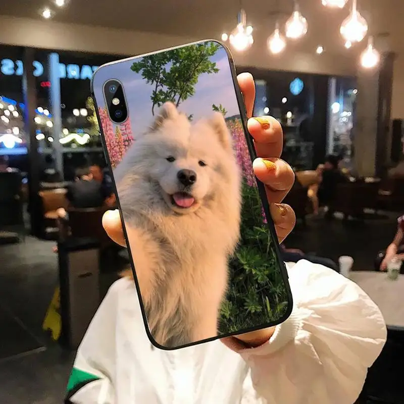 

Cute animal Samoyed dog lovely Phone Case for iPhone 11 12 pro XS MAX 8 7 6 6S Plus X 5S SE 2020 XR