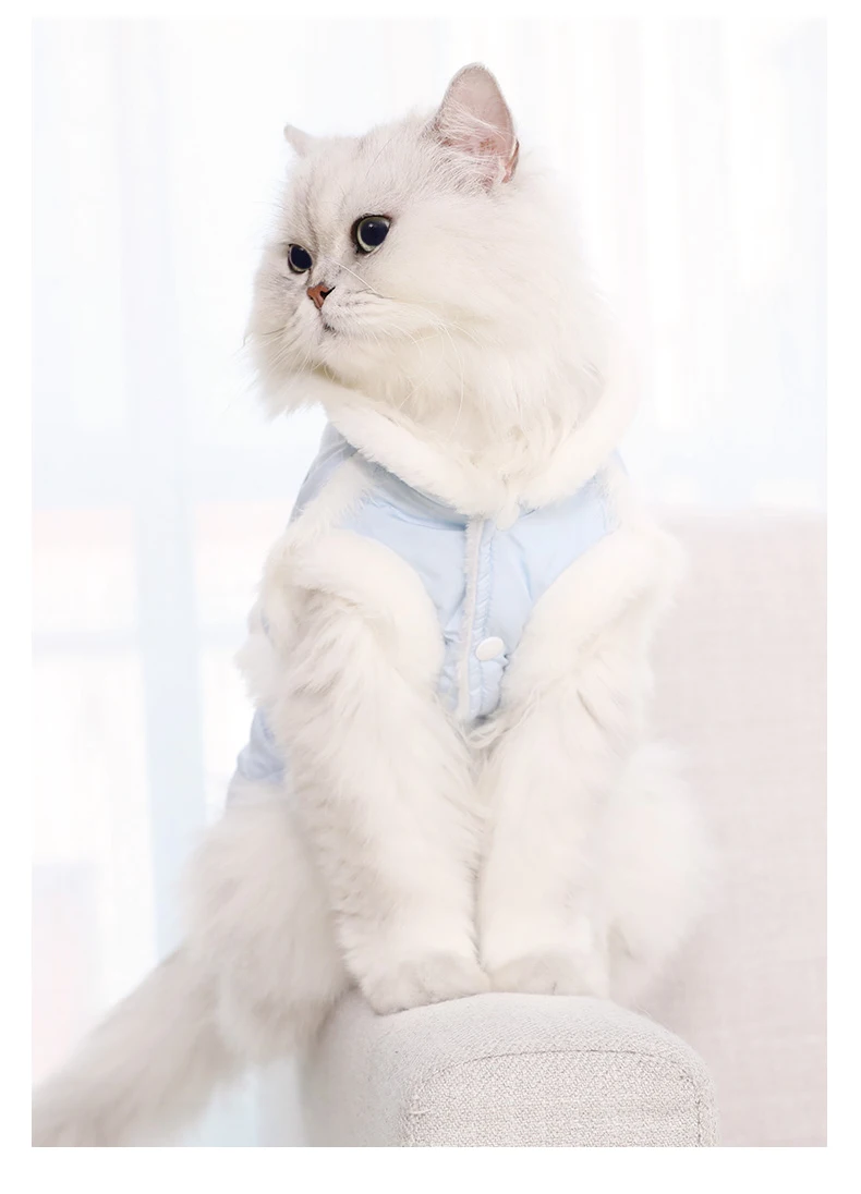 Hoopet одежда для домашних животных, котов костюм Одежда для домашних животных собака щенок теплая для домашнего питомца, котенка, кошки закрытой курткой, верхняя одежда