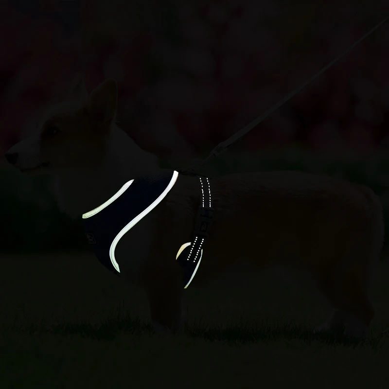 

Pet Reflective Chest And Back With Breathable Mesh Chest And Back Traction Rope Pet Products For Small And Medium-sized Dog