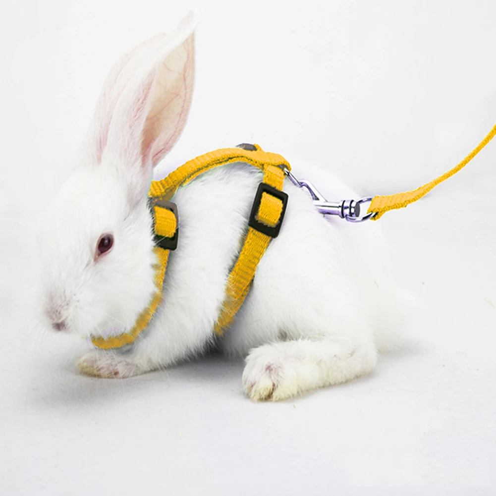 Регулируемый мягкий полиэфирный маленький ошейник для животных все тело поводок