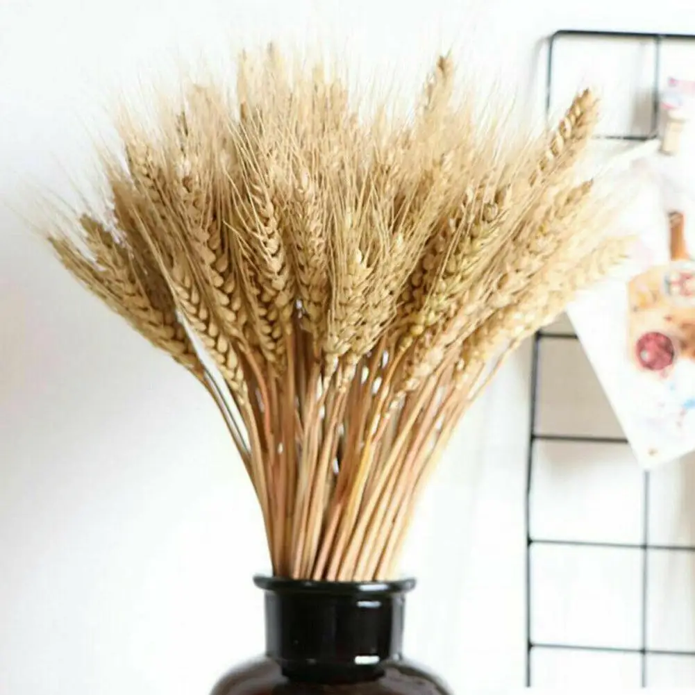 Натуральные колосья пшеницы 10 шт. натуральный цвет букет натуральных цветов для